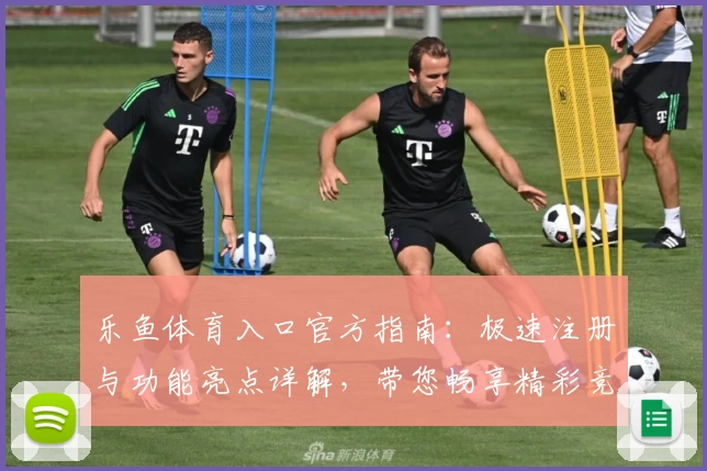 乐鱼体育入口官方指南：极速注册与功能亮点详解，带您畅享精彩竞技体验