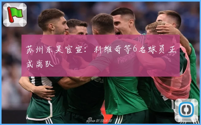 苏州东吴官宣：科维奇等6名球员正式离队