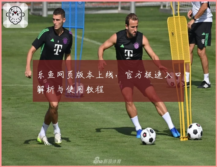 乐鱼网页版本上线，官方极速入口解析与使用教程