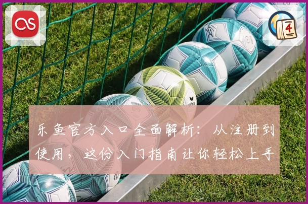 乐鱼官方入口全面解析：从注册到使用，这份入门指南让你轻松上手