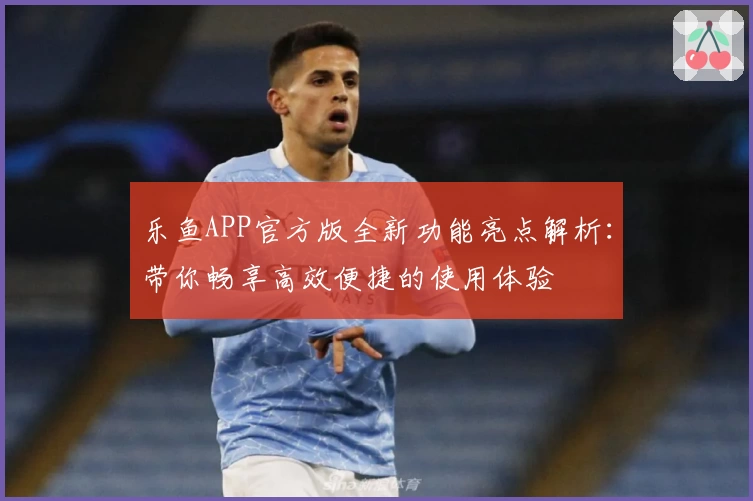 乐鱼APP官方版全新功能亮点解析：带你畅享高效便捷的使用体验