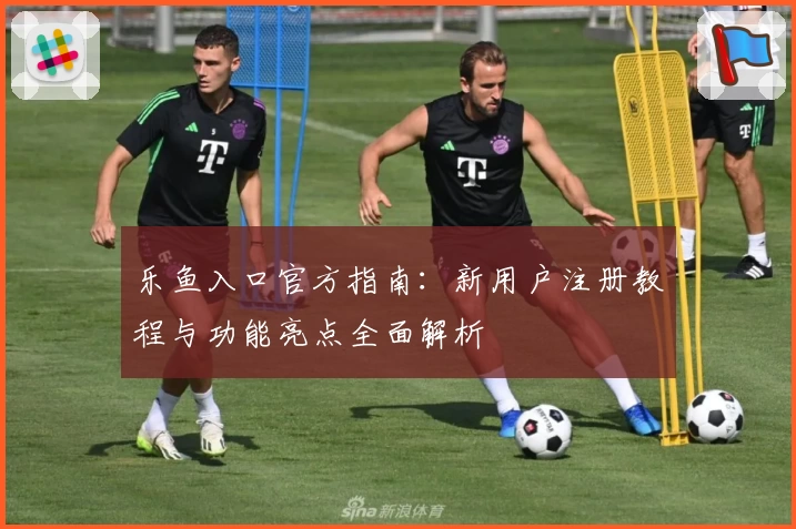 乐鱼入口官方指南：新用户注册教程与功能亮点全面解析