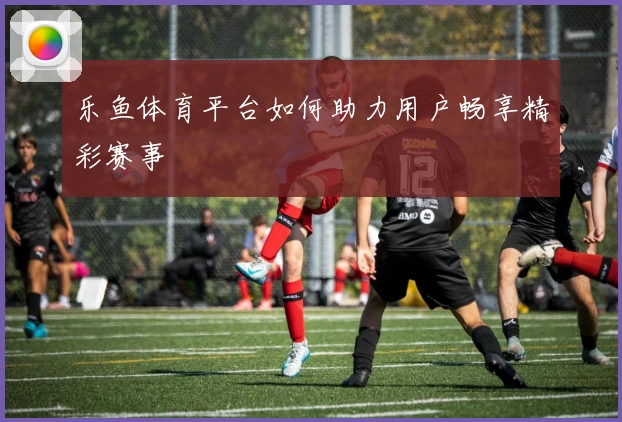 乐鱼体育平台如何助力用户畅享精彩赛事