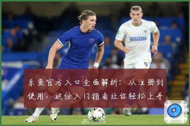 乐鱼官方入口全面解析：从注册到使用，这份入门指南让你轻松上手