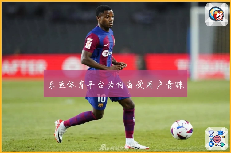 乐鱼体育平台为何备受用户青睐