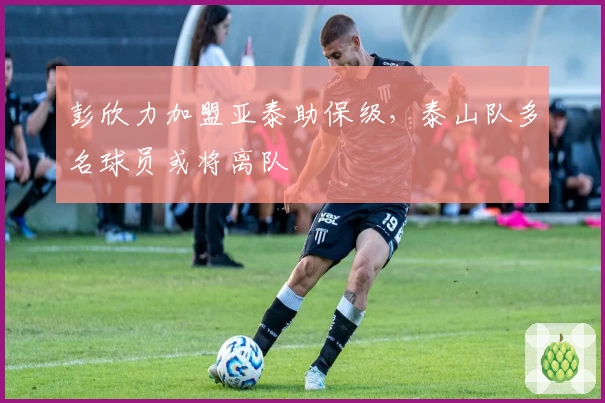 彭欣力加盟亚泰助保级,泰山队多名球员或将离队