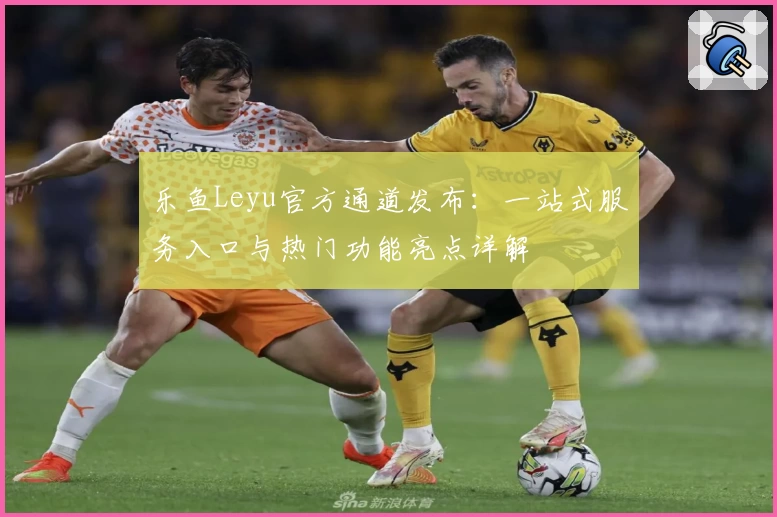 乐鱼Leyu官方通道发布：一站式服务入口与热门功能亮点详解